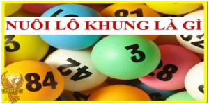 Nuôi lô khung là phương pháp đánh mang tính hiệu quả cao